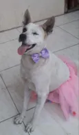 Zoe