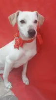 Tina e nina