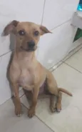 Tina e nina