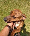Frida