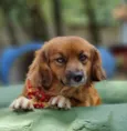 ZAYA