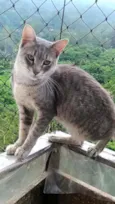 Boris