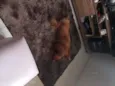 -*-