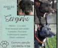 Serginho
