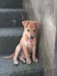 Juliette