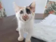 Mel