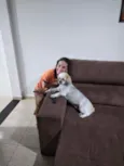 Mel