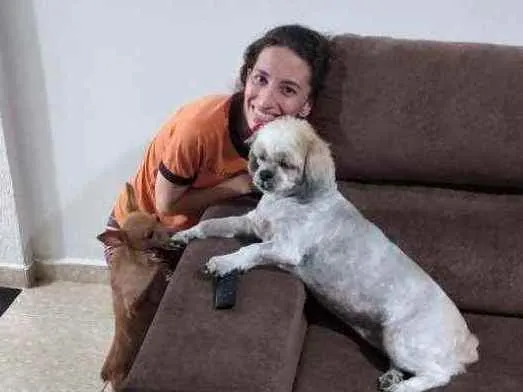 Cachorro raça Lhasa apso idade 6 ou mais anos nome Mel