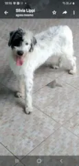 JACK