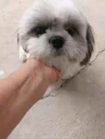 Billy