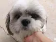 Billy
