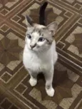Oliver