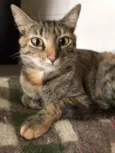 Julieta