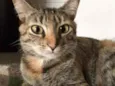 Julieta