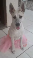 Valentina