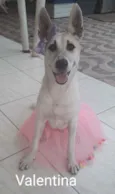 Valentina
