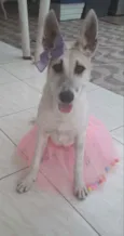 Valentina