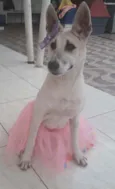 Valentina