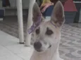 Valentina
