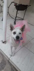 Zoe