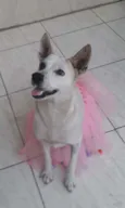 Zoe