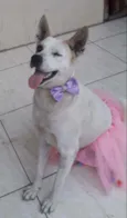 Zoe