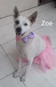 Zoe