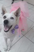 Zoe