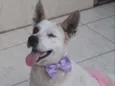 Zoe