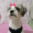 Clara 