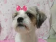 Clara 