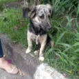 Frederico
