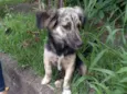 Frederico