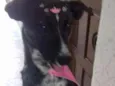 Maya