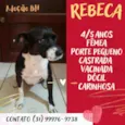 Rebeca