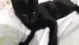 Peter