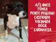 Rebeca