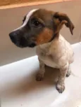 Princesa 