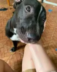 Negão 