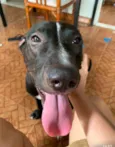 Negão