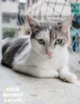 Erick