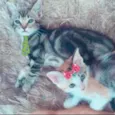 Beto e Bia 
