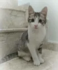 Gary