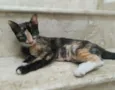 Esther