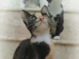 Esther
