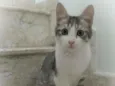 Gary