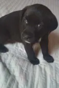 Fred