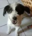 Princesa