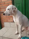 Nina