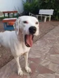 Nina